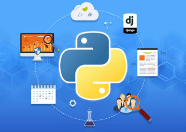 Top 10 Important Python Programming Tips for Beginners