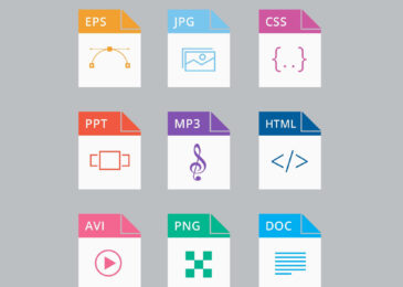 What Are The Different Types of Digital Files?